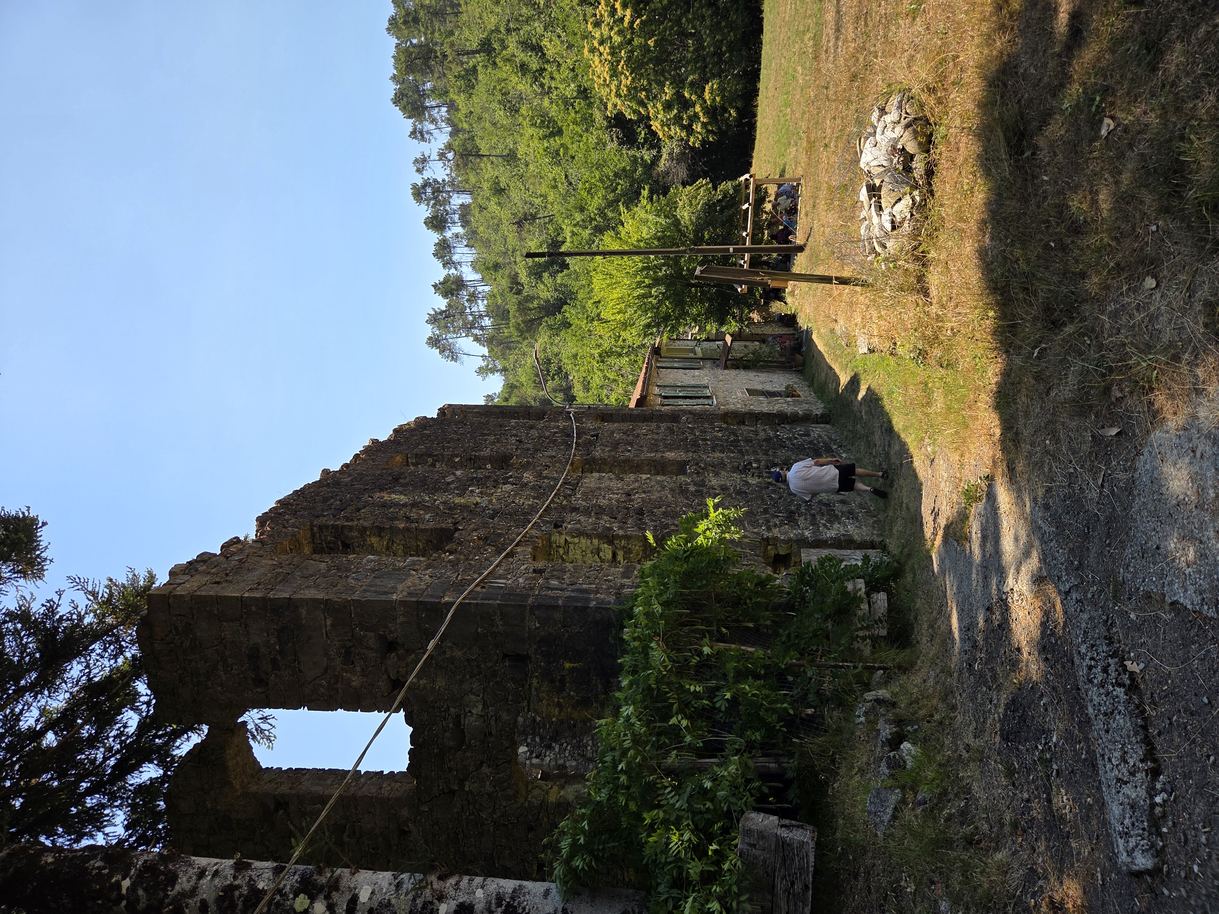 photo11